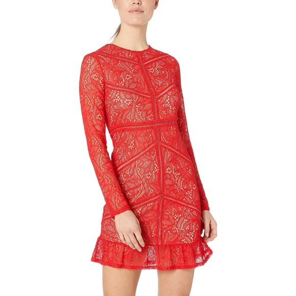 sasha lace cocktail dress